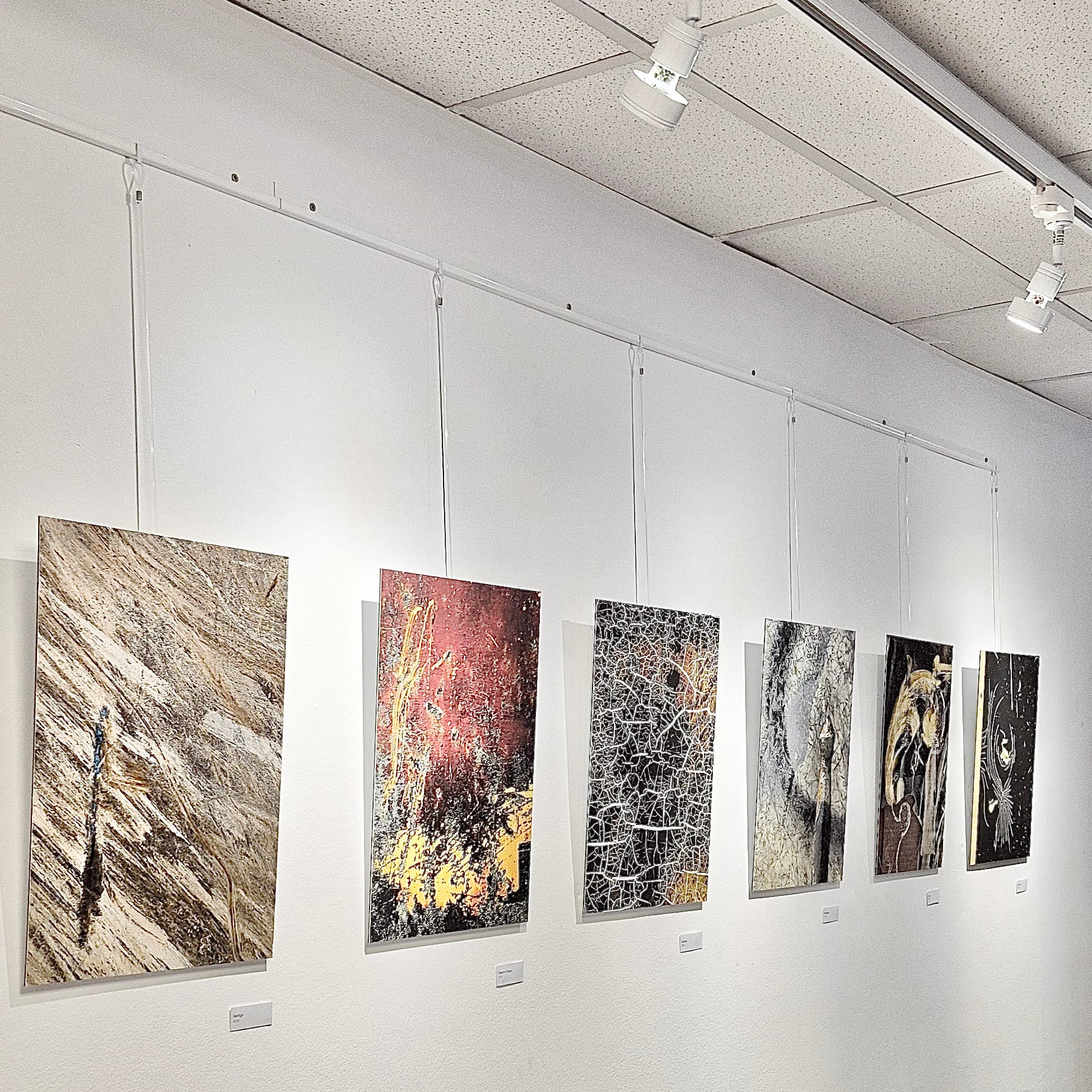 Galerie d'art contemporain de Créteil, 2026