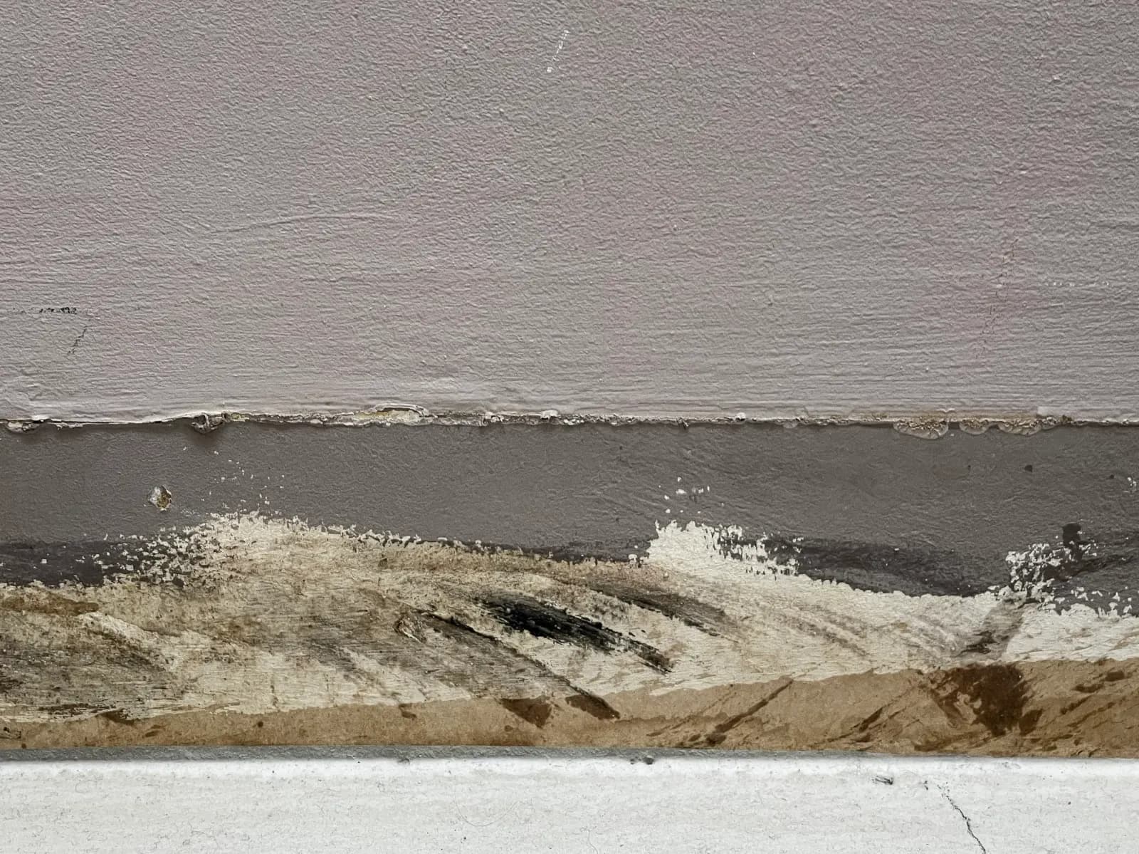 Mer du nord