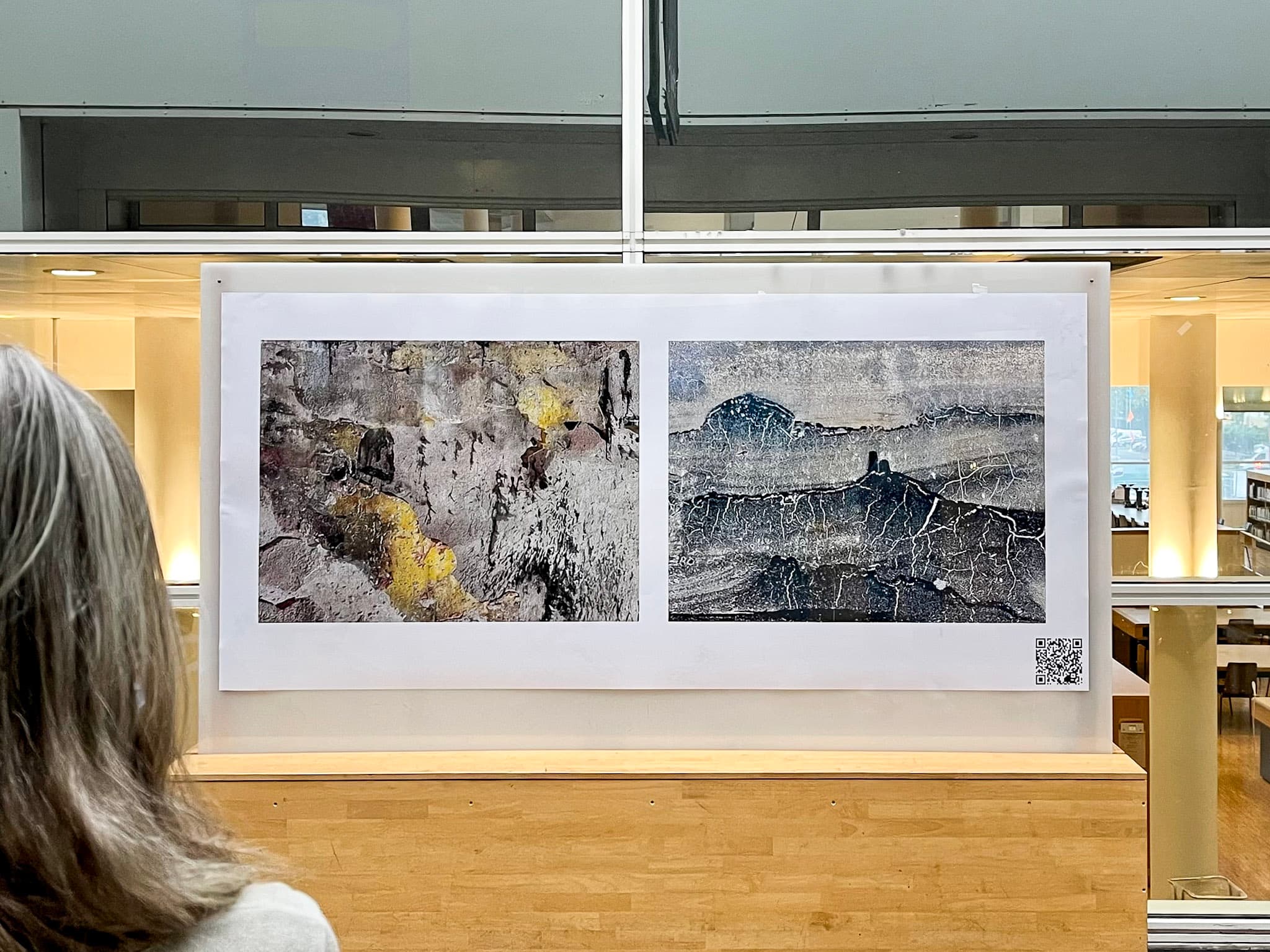 Diptyque encadré exposé dans une médiathèque, vu par-dessus l’épaule d’une visiteuse